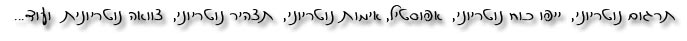 תרגום נוטריוני, ייפוי כוח נוטריוני, אפוסטיל, אימות נוטריוני, תצהיר נוטריוני, צוואה נוטריונית ועוד...